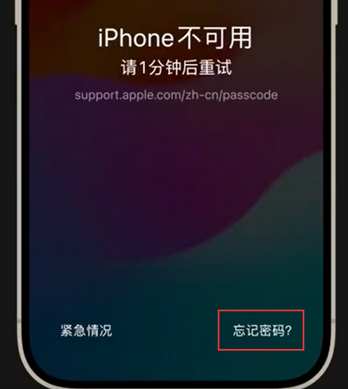 白城苹果手机密码维修分享iPhone忘记了刚设置的密码 