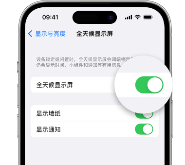 白城苹果15预约维修分享iPhone15如何设置全天候显示屏幕可见 