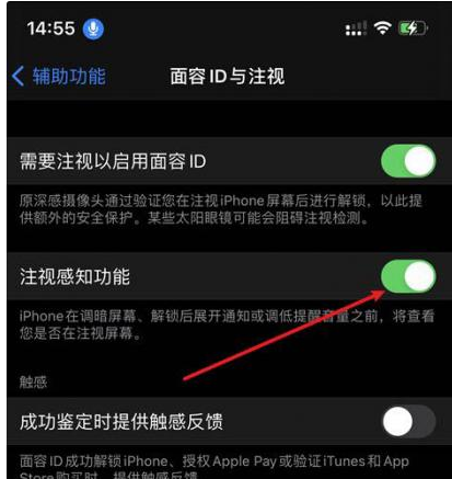 白城苹果14维修网点分享iPhone14注视感知功能有什么用 