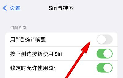 白城苹果13维修分享iPhone 13怎么唤醒 Siri  